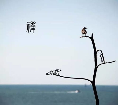 梦境中的悲怆，解读梦到已逝亲人被水淹死且一丝不挂的深层含义