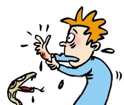 梦境解析，梦见被蛇咬——一条蛇的多次攻击意味着什么？
