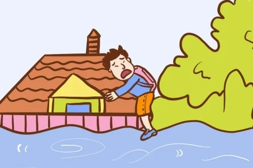 梦见发大洪水淹了房子，梦境背后的深层含义与心理解析