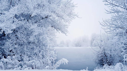 做梦梦见下雪下身上好吗？解析梦境中的雪与你的内心情感