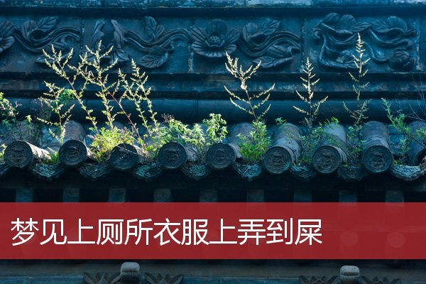 请高人解梦，梦见上厕所衣服被别人沾上屎，是否预示不吉？