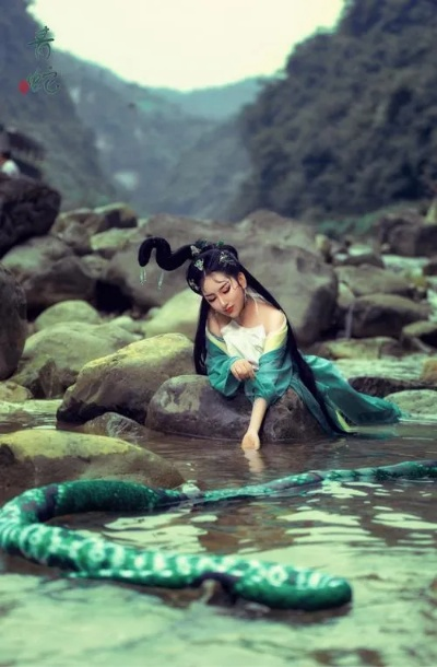 梦境解析，大青蛇与鱼的神秘邂逅