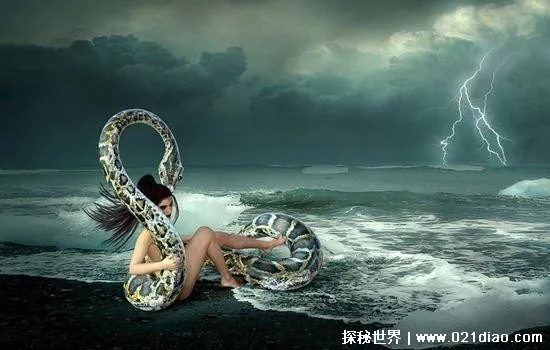 梦境解析，手上抓了一把小蛇的深层含义与心理暗示
