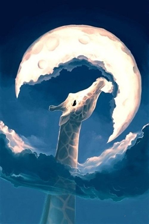 梦境解析，梦见家犬欲噬己，幸得救援