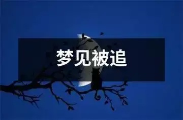 梦见被人追或追逐别人，探索梦境中的追逐战与心理寓意