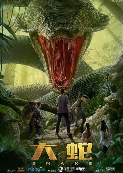 求高人解梦，家中蛇影重重，自我挑战与蜕变的梦境解析