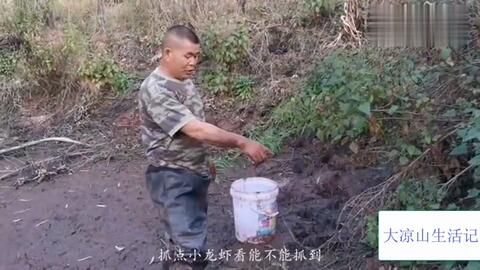 梦见地里挖出了好多花生，寓意与解析
