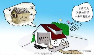 梦境解析，梦见手机掉入农村老式厕所的深层含义