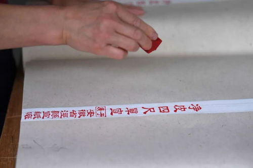 梦见自己埋月经血纸，探索梦境背后的深层含义与心理解析