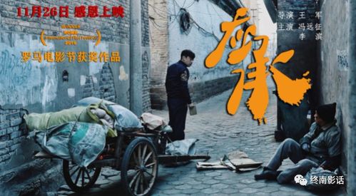梦境启示，车队与黑棺材的意象，预示学业之路的挑战与机遇