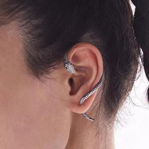 梦境启示，遗失的耳环与自我价值的探寻