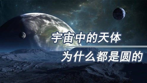梦境解析，与友共逐蛇反遭咬——探索潜意识中的警示与启示