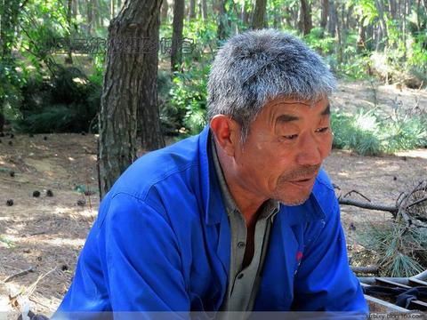 梦见自己开车车翻了人没事，一场梦境的深层解析与心理启示
