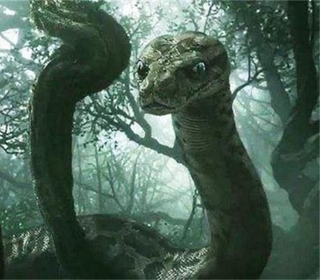 昨晚梦见两条大蛇立起来看着我，这是什么意思？