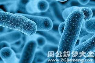 梦见自己得病了怎么办，解读梦境背后的深层含义与应对策略