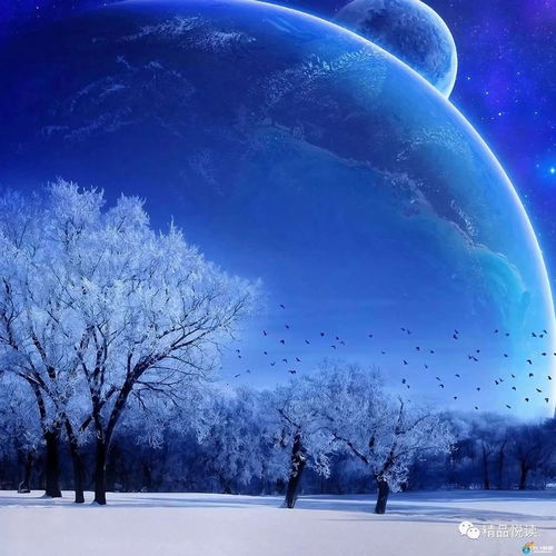 梦见大雪纷飞，梦境背后的深层预示与解析