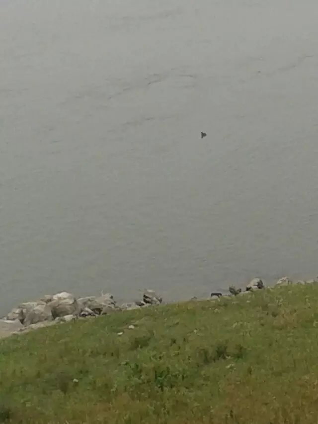 谁会解梦啊？梦见洪水会怎样？