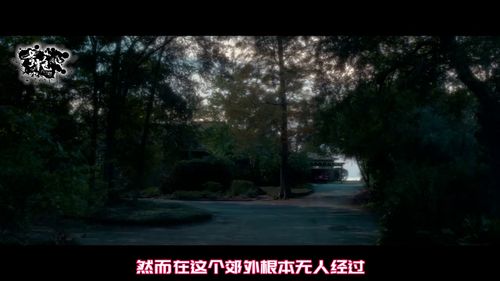 梦境的迷雾，探索为何会梦到老婆被绑架却寻而不得