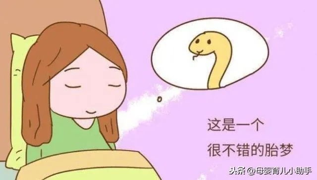 揭秘梦境与生育之谜，梦到蛇会生男孩吗？准确率究竟有多高？