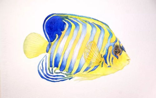 梦境解析，金色蜢与花纹鱼的江面飞翔之旅