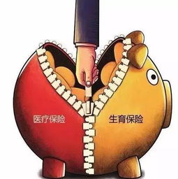 梦见核桃，预示会怀孕吗？解读梦境中的奥秘与生育愿望