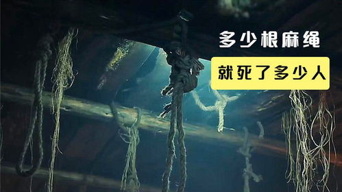 梦境中的神秘交织，解析梦见蛇与蛟的象征意义