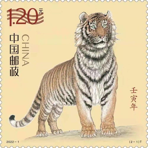 梦境解析，三只老虎中的微妙寓意——小老虎的咬噬是好是坏？