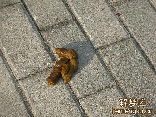 总梦见狗屎，究竟为何？解析梦境中的隐喻与心理暗示