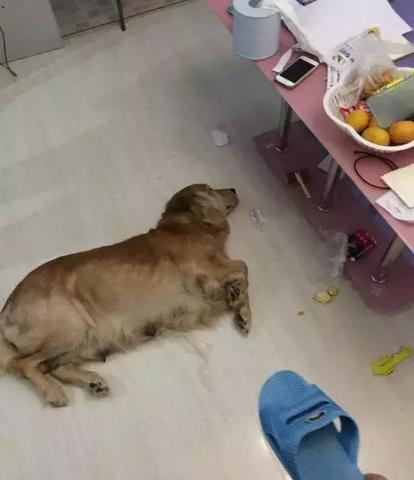 梦见前男友的手剁了，一场梦境的深层解析与情感启示
