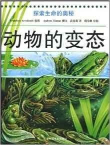 探索梦境奥秘，双头白蛇的深层寓意与心理解析