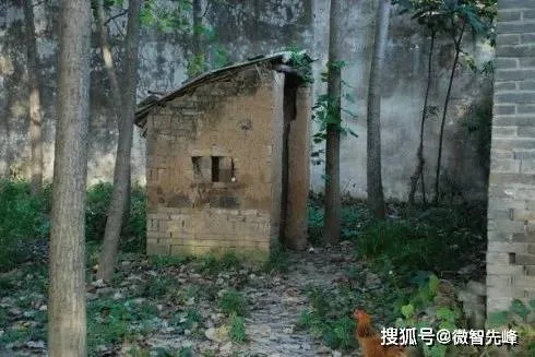解梦，梦见僵尸茅房与农村厕所的神秘寓意