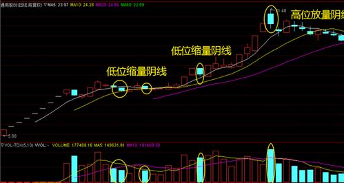 梦见老鼠吸我的血，预意与解析