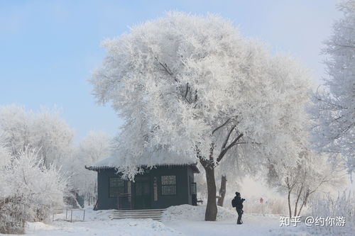 梦境交织，月经与雪景的奇异相遇——解析梦境中的象征与情感