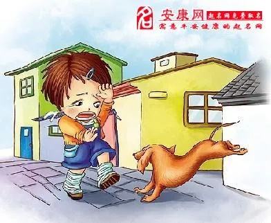 梦见被狗咬，梦境背后的深层含义与心理解析