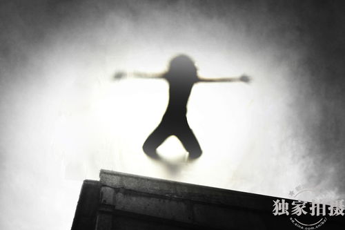 梦见棺材上飞了好多蝴蝶，梦境背后的深层含义与启示