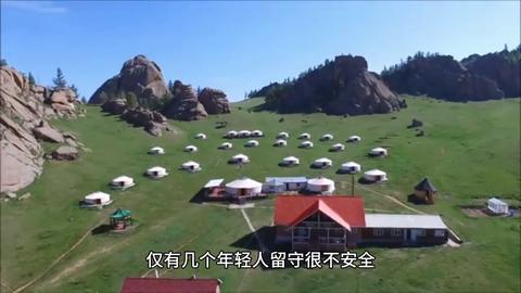 梦见与大黑狗对峙的预兆，探索梦境背后的深层含义与启示