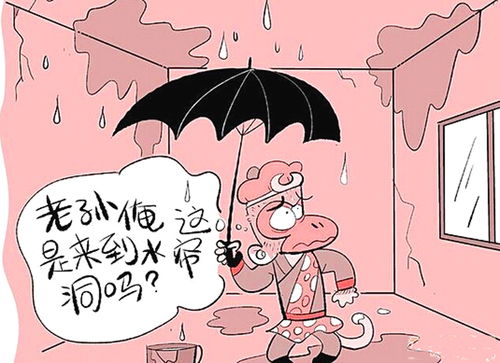 梦境中的温馨对话，梦见与妗妗交谈的深意解析