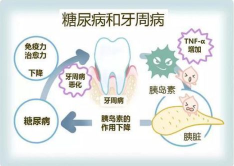 梦语解析，牙齿更迭的奥秘与心灵成长的预兆