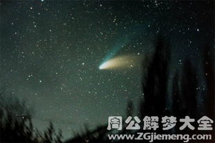 梦见三条大鱼，探索梦境背后的深层含义与预兆