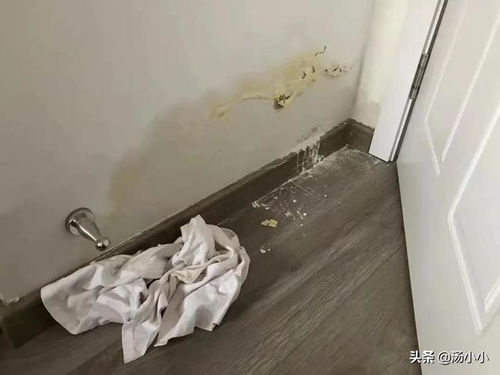 梦见家里房子地板漏水发霉，解读梦境背后的深层含义