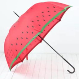 梦境解析，梦见一把大伞（雨伞）的深层含义与心理暗示