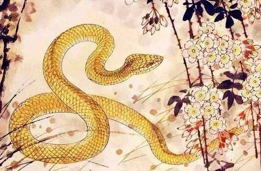 梦境解析，昨晚半夜两点的蛇咬事件