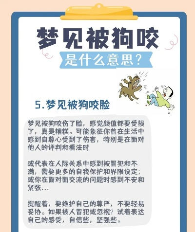 梦境解析，梦见被狗咬与反击的深层含义