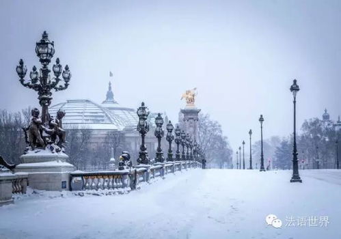 梦境解析，梦见下雪与破鞋的深层含义及心理暗示