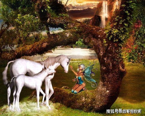 梦境中的得与失，解析梦见得一羊与自行车丢失的深层含义