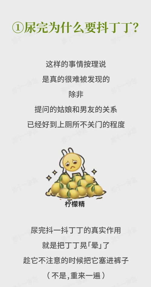 孕妇梦见很多小乌龟，预示生男孩还是女孩？解读梦境中的奥秘