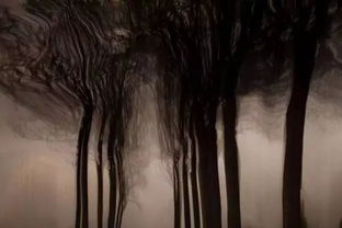 我梦到自己被一个身材魁伟的男子杀了，却又神奇复活，梦境背后的深层含义与解析