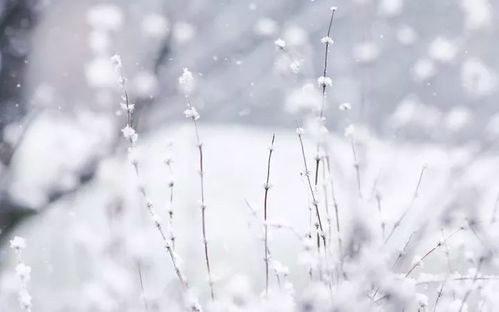 梦见下雨下雪，双重视界的预兆与心灵启示