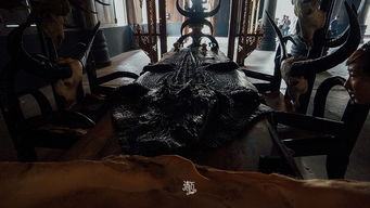 梦境惊魂，活死人惊醒之谜