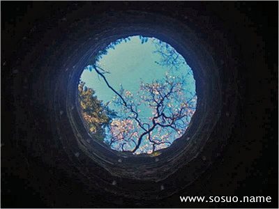 梦见怀孕与棺材，生命循环与内心转变的隐喻